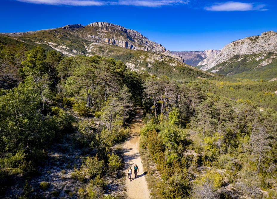 Randonneurs dans la nature