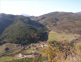 Bois de la Faye